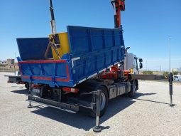 RENAULT C 320 4X2 BASCULANTE GRUA PALFINGER